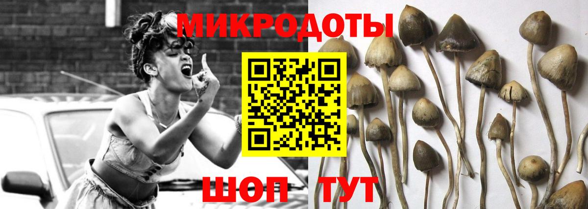 Галлюциногенные грибы мицелий  Вход с VPN  Десногорск  Галлюциногенные грибы мицелий 
