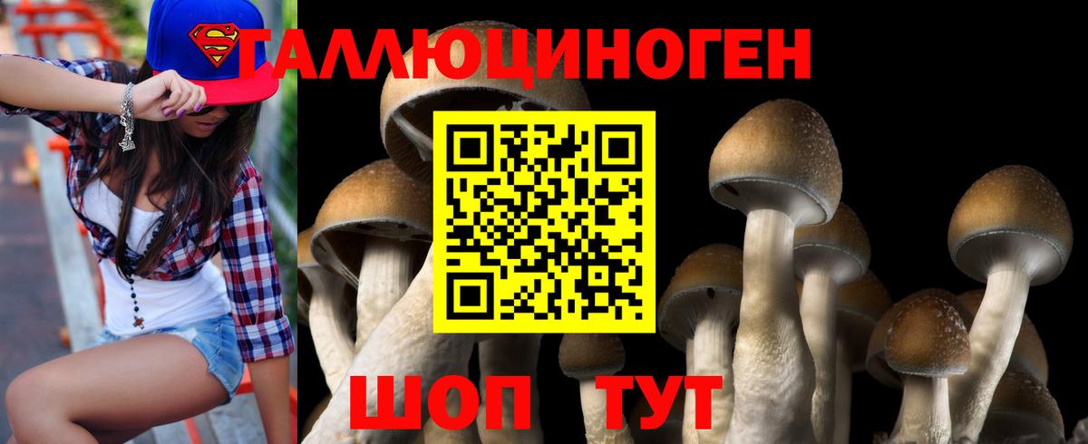 Псилоцибиновые грибы мицелий Десногорск